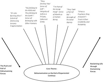 Self-dehumanisation in voice hearers: the end of a continuum